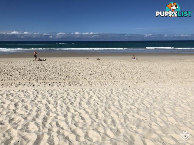 ID:21143471/6 Fifth Avenue Burleigh Heads QLD 4220