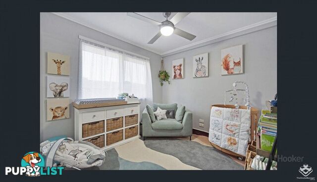 ID:21154084 15 Clark Street Biggera Waters QLD 4216