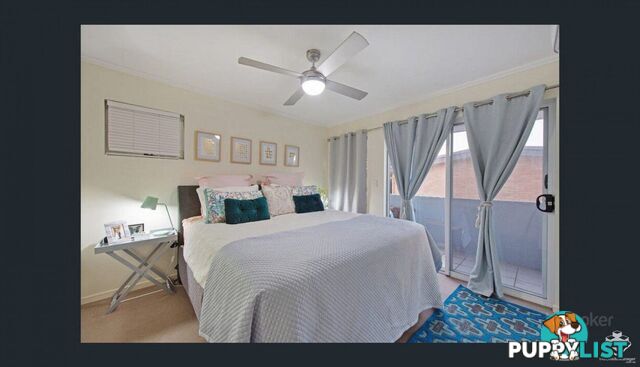 ID:21154084 15 Clark Street Biggera Waters QLD 4216
