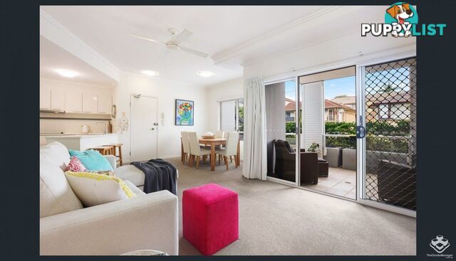 ID:21154084 15 Clark Street Biggera Waters QLD 4216
