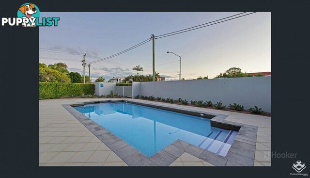 ID:21154084 15 Clark Street Biggera Waters QLD 4216