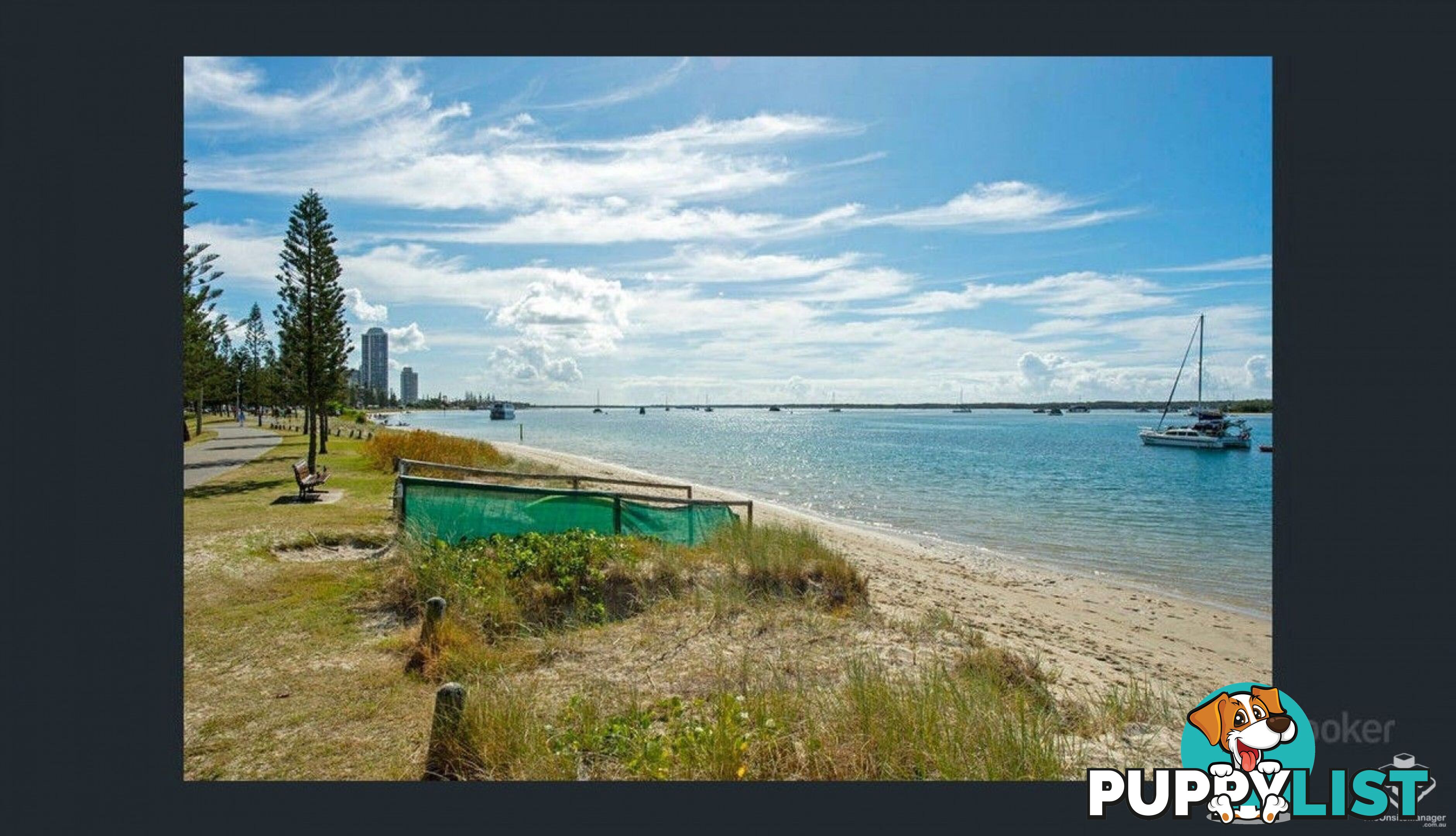 ID:21154084 15 Clark Street Biggera Waters QLD 4216