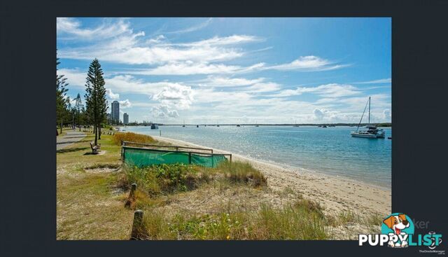 ID:21154084 15 Clark Street Biggera Waters QLD 4216