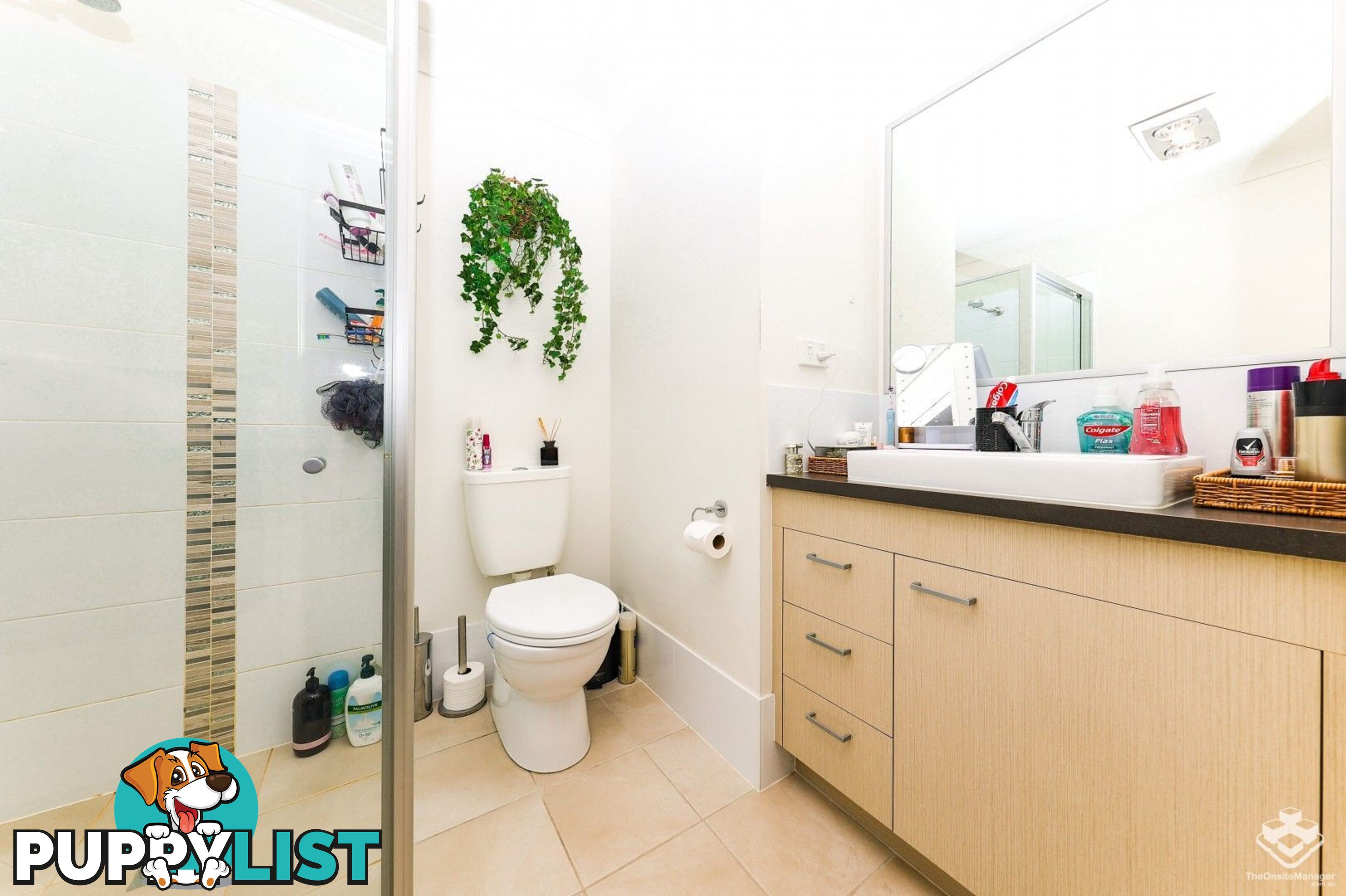 ID:21156289 61cabooltureriverroad Caboolture River Road Morayfield QLD 4506