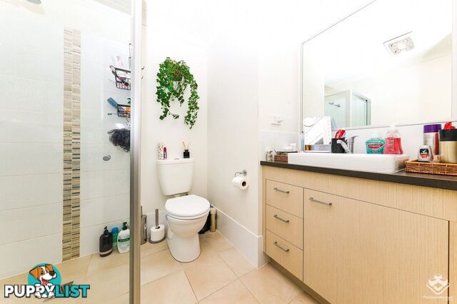 ID:21156289 61cabooltureriverroad Caboolture River Road Morayfield QLD 4506