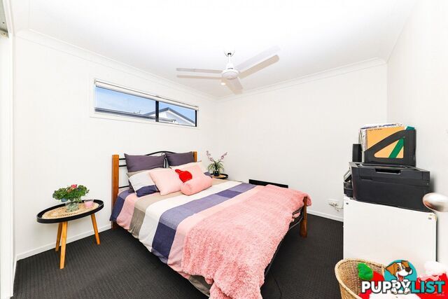 ID:21156289 61cabooltureriverroad Caboolture River Road Morayfield QLD 4506