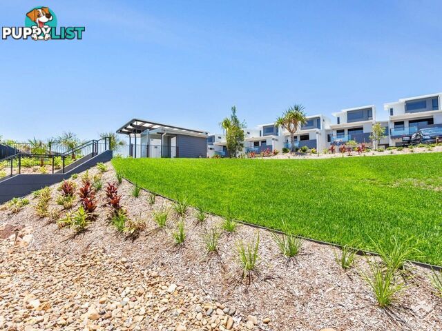 ID:3902901 24 The Corso North Lakes qld 4509