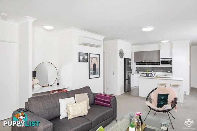 ID:21158789 28 McGregor Avenue Lutwyche QLD 4030