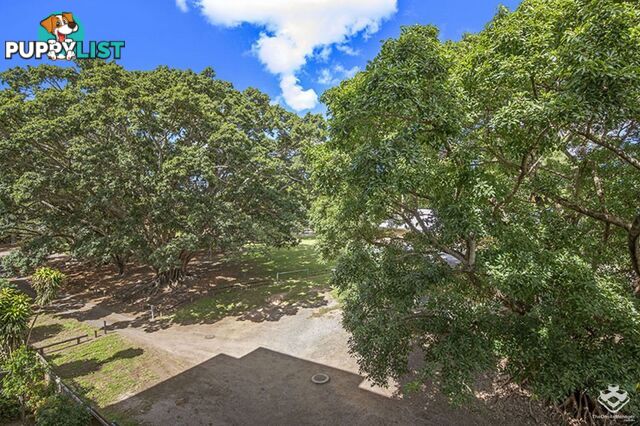 ID:21158789 28 McGregor Avenue Lutwyche QLD 4030
