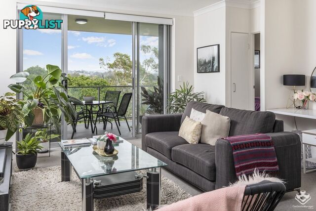 ID:21158789 28 McGregor Avenue Lutwyche QLD 4030