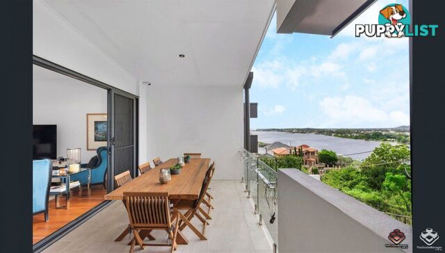 23 Quarry Street Hamilton QLD 4007