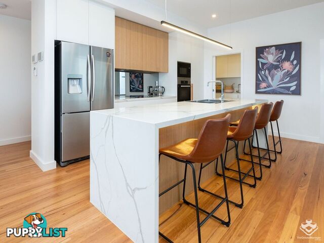 23 Quarry Street Hamilton QLD 4007