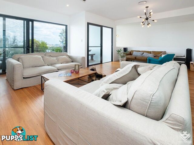 23 Quarry Street Hamilton QLD 4007