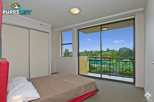 ID:21150162 25 Lake Orr Drive Robina QLD 4226