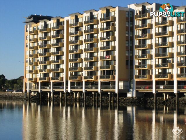 ID:21150162 25 Lake Orr Drive Robina QLD 4226