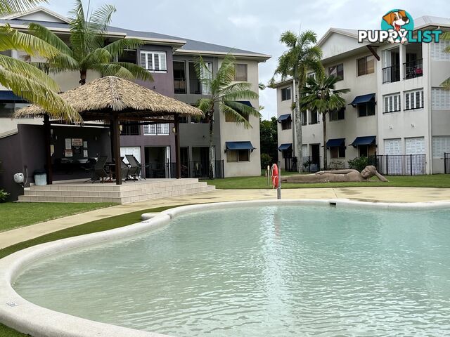 ID:21156933 29-33 Springfield Crescent Manoora QLD 4870