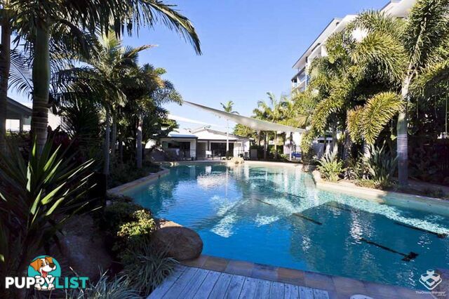 ID:21155137 16 Surbiton Court Carindale QLD 4152