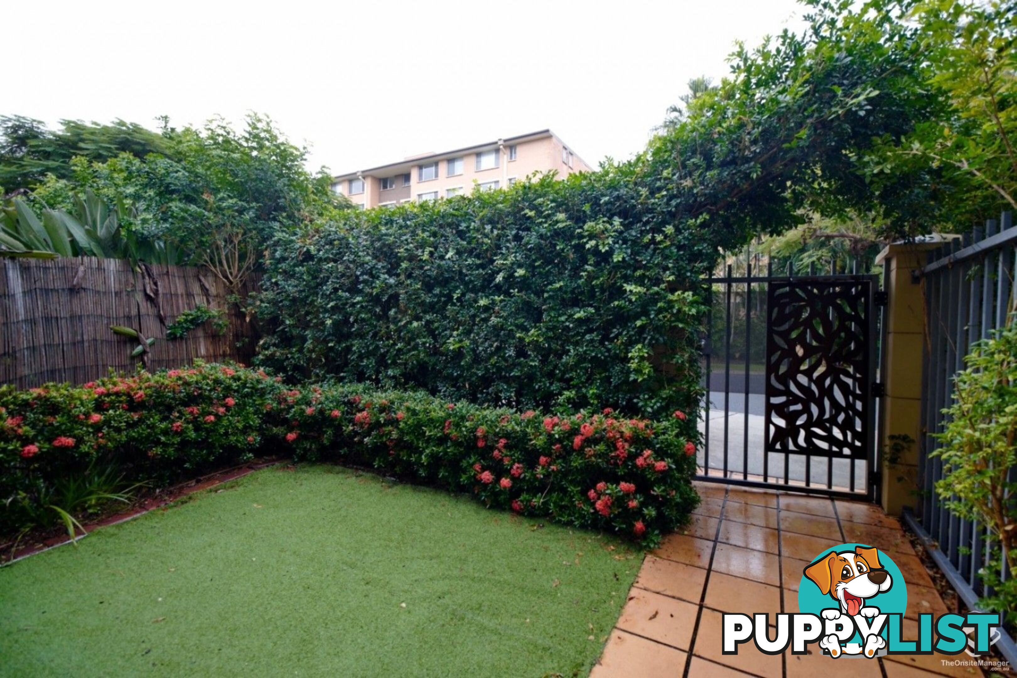 ID:21152334 139 Macquarie Street St Lucia QLD 4067