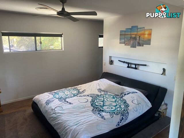 15 Elanora Drive Burleigh Heads QLD 4220