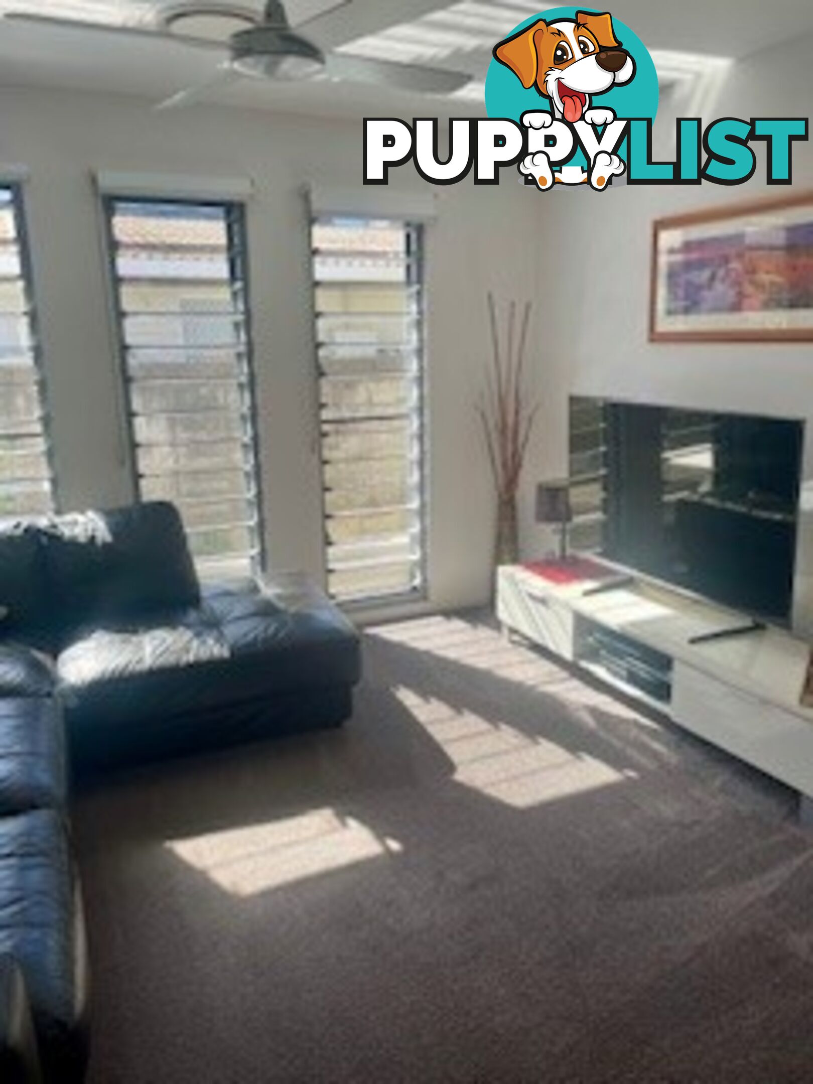 15 Elanora Drive Burleigh Heads QLD 4220