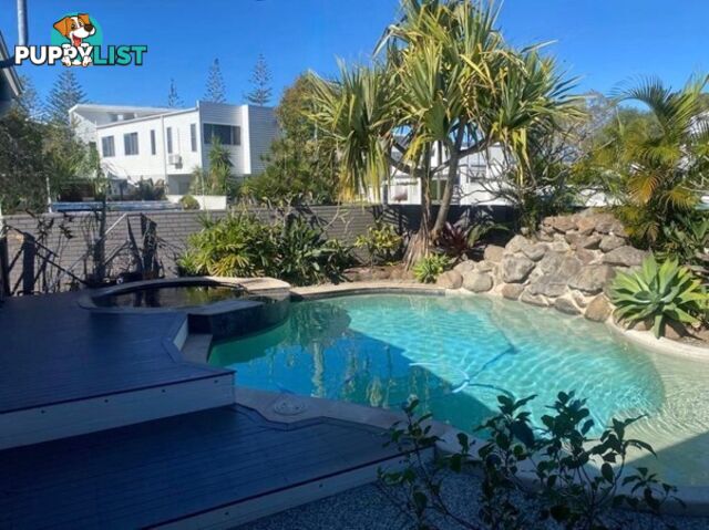Burleigh Heads QLD 4220