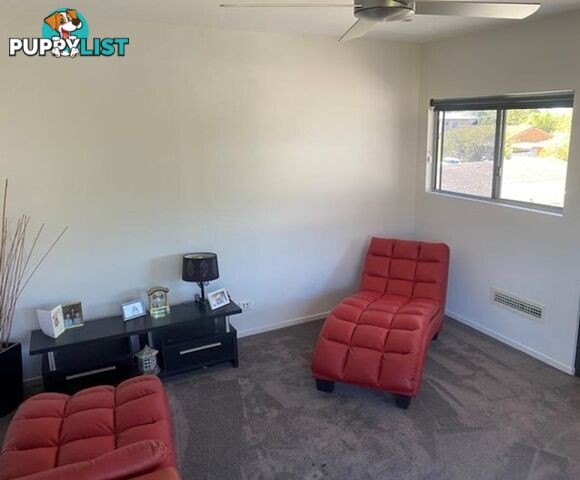 15 Elanora Drive Burleigh Heads QLD 4220