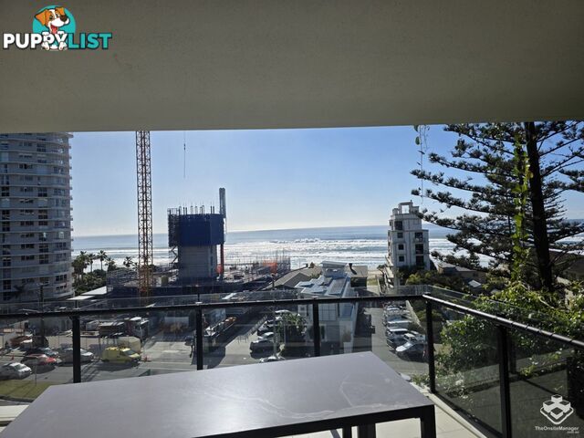 ID:21158918 1328 Gold Coast Highway Palm Beach QLD 4221