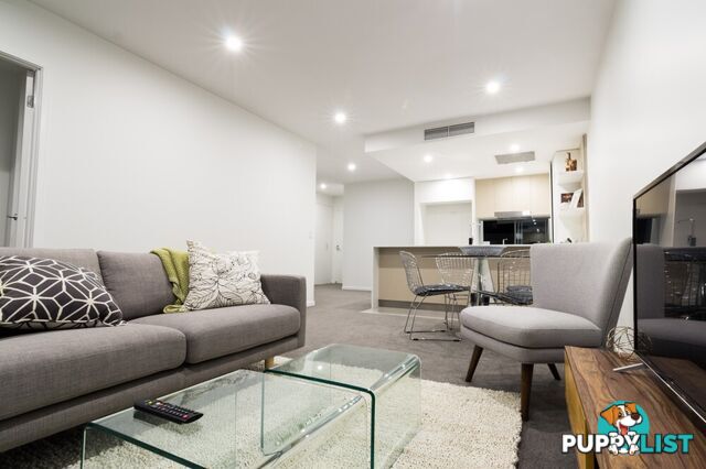 ID:21150358 25 Duncan Street West End QLD 4101