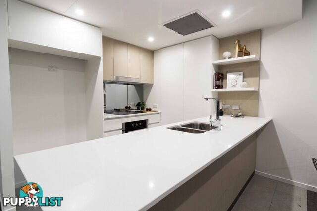 ID:21150358 25 Duncan Street West End QLD 4101