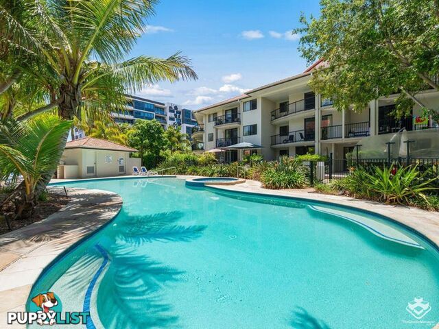 ID:21156026 14-26 Markeri Street Mermaid Beach QLD 4218