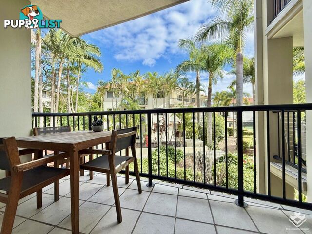 ID:21156026 14-26 Markeri Street Mermaid Beach QLD 4218