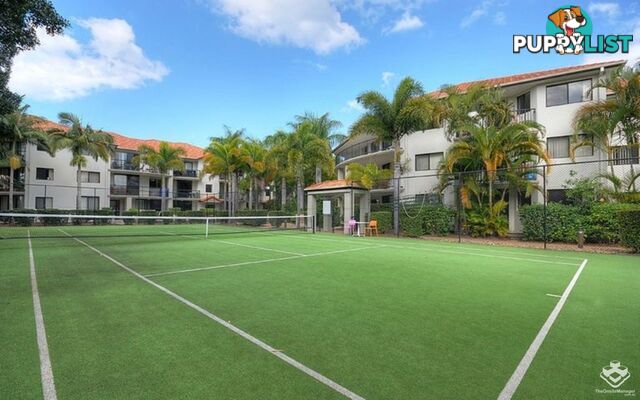 ID:21156026 14-26 Markeri Street Mermaid Beach QLD 4218