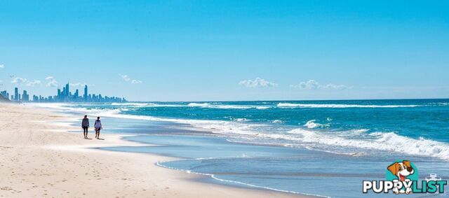 ID:21156026 14-26 Markeri Street Mermaid Beach QLD 4218