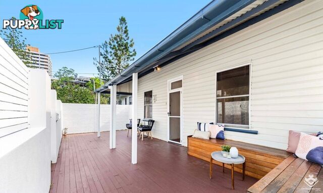 31 Middle Street West End QLD 4101