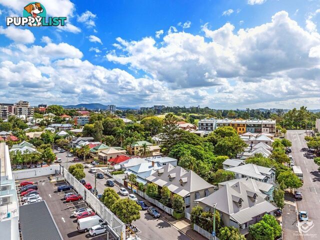 ID:21126732/8 Dickens Street Spring Hill QLD 4000