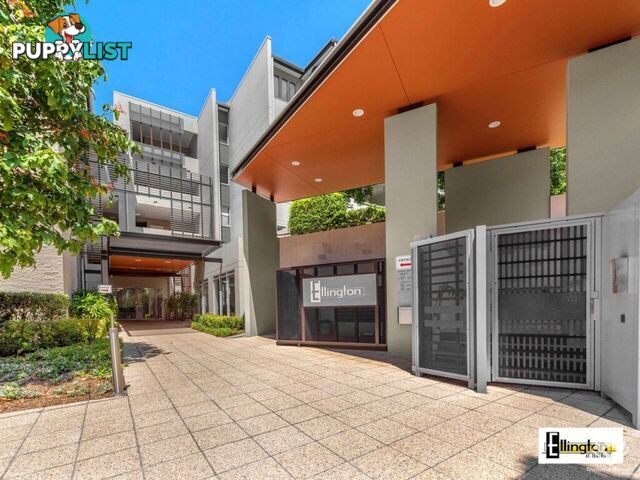 ID:21156606 71 Beeston Street Teneriffe QLD 4005