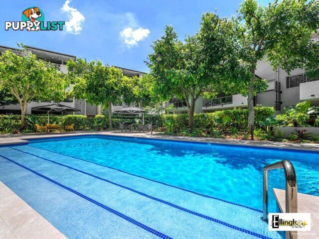 ID:21156606 71 Beeston Street Teneriffe QLD 4005