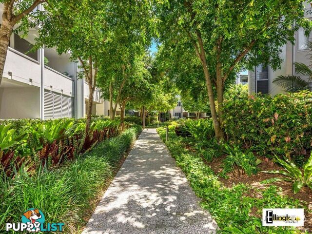 ID:21156606 71 Beeston Street Teneriffe QLD 4005
