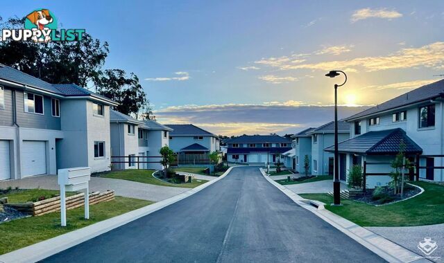 6/16 Nigella Street Dakabin QLD 4503