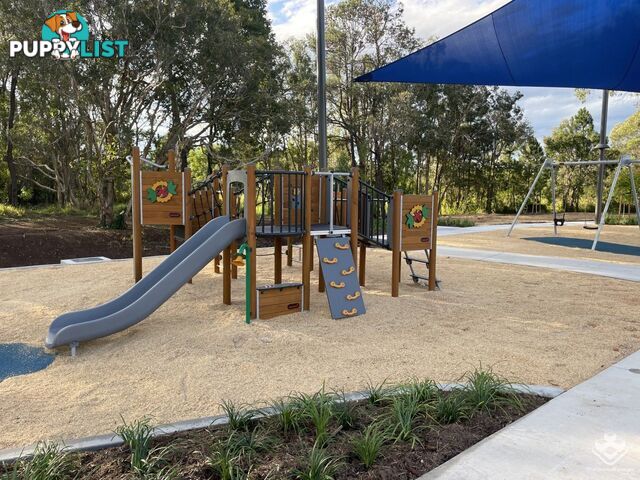 6/16 Nigella Street Dakabin QLD 4503