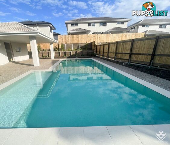 6/16 Nigella Street Dakabin QLD 4503