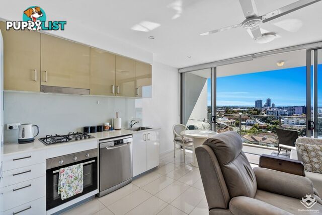 ID:21153108 17 Bath Street Labrador QLD 4215