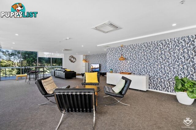 ID:21153108 17 Bath Street Labrador QLD 4215