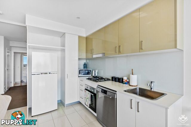 ID:21153108 17 Bath Street Labrador QLD 4215