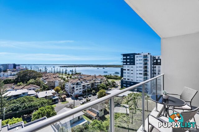 ID:21153108 17 Bath Street Labrador QLD 4215