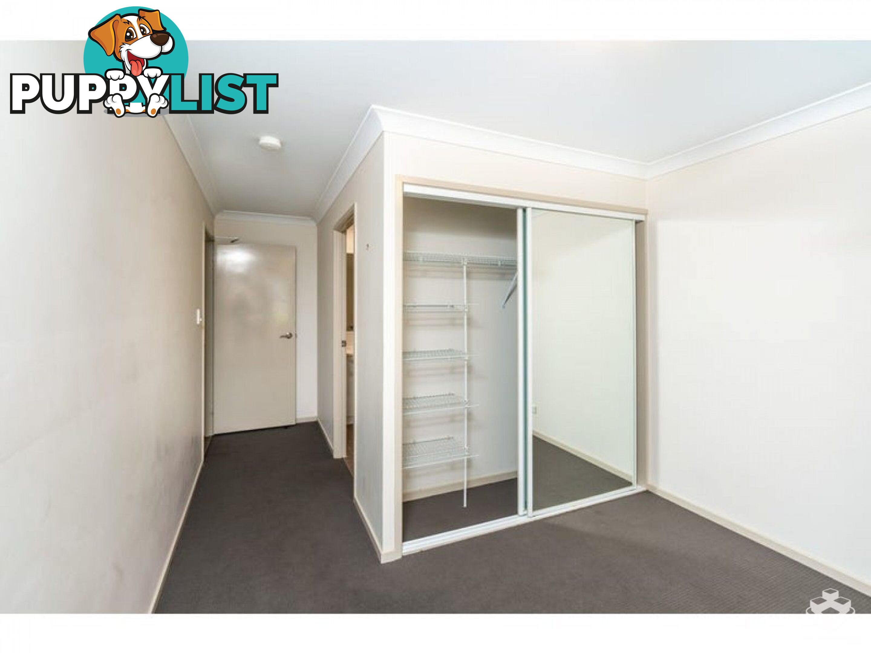 ID:21154168 87 Thorn Street Ipswich QLD 4305