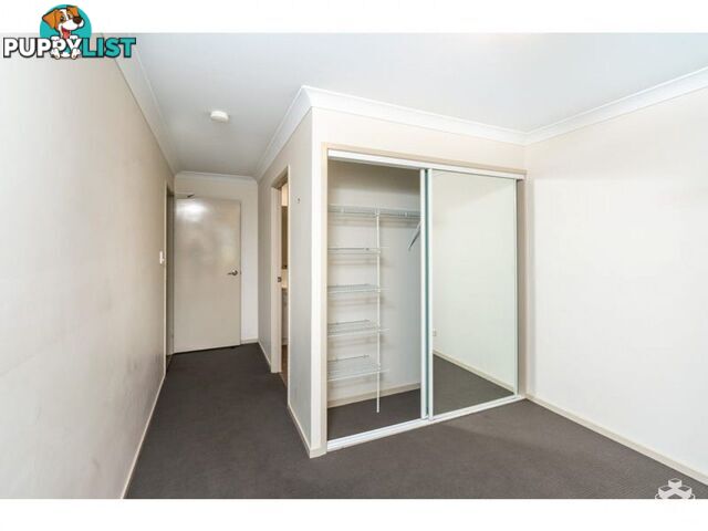 ID:21154168 87 Thorn Street Ipswich QLD 4305