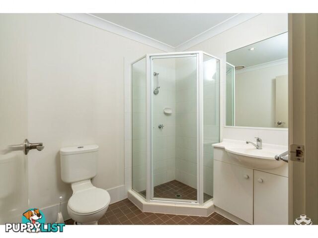 ID:21154168 87 Thorn Street Ipswich QLD 4305