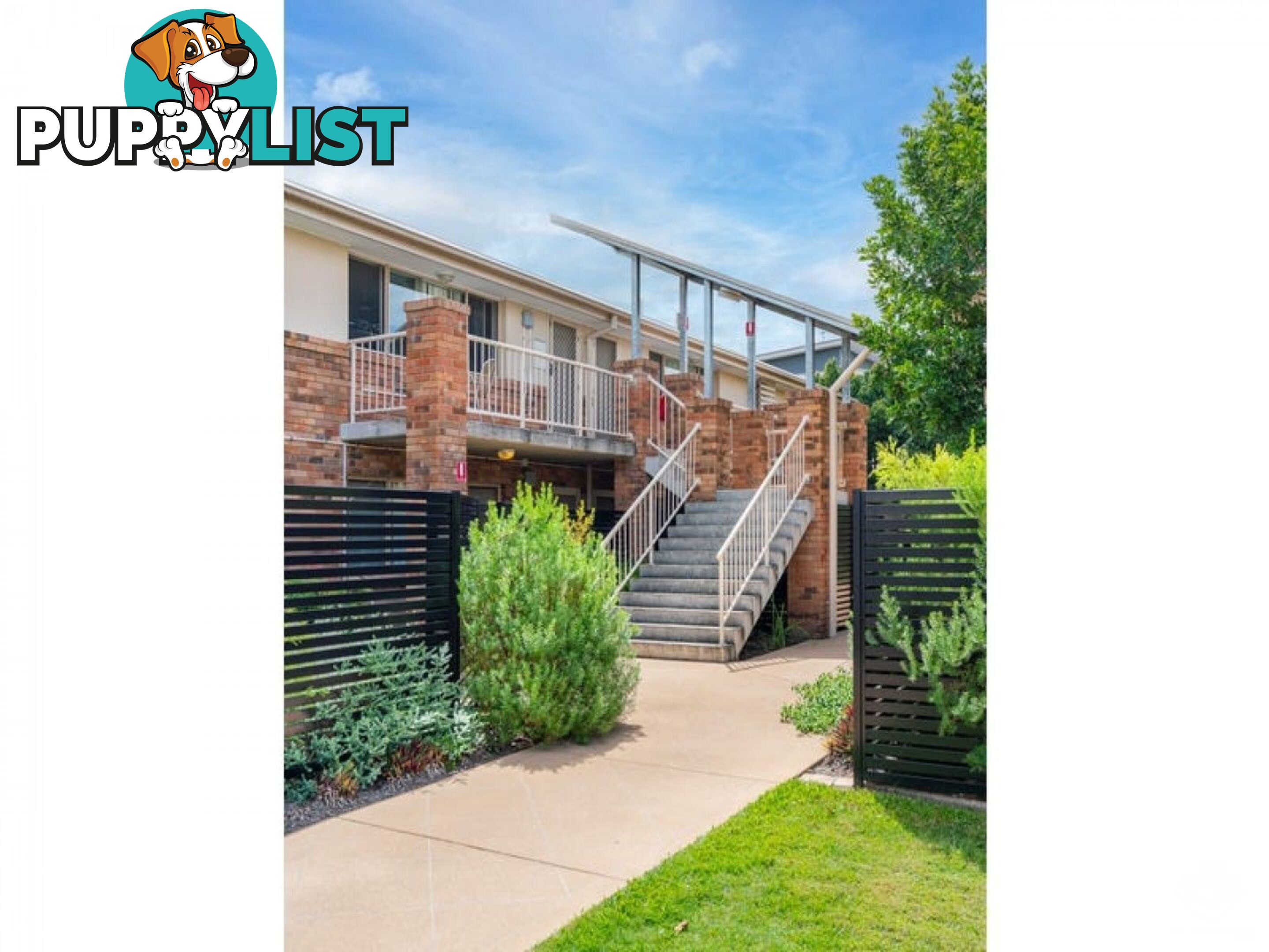 ID:21154168 87 Thorn Street Ipswich QLD 4305