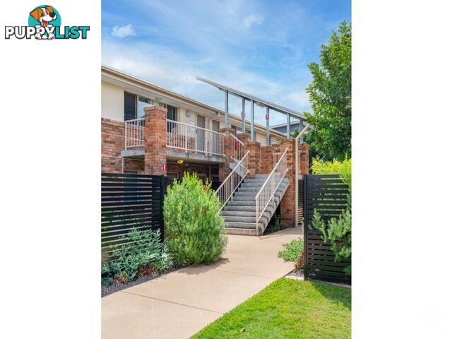 ID:21154168 87 Thorn Street Ipswich QLD 4305